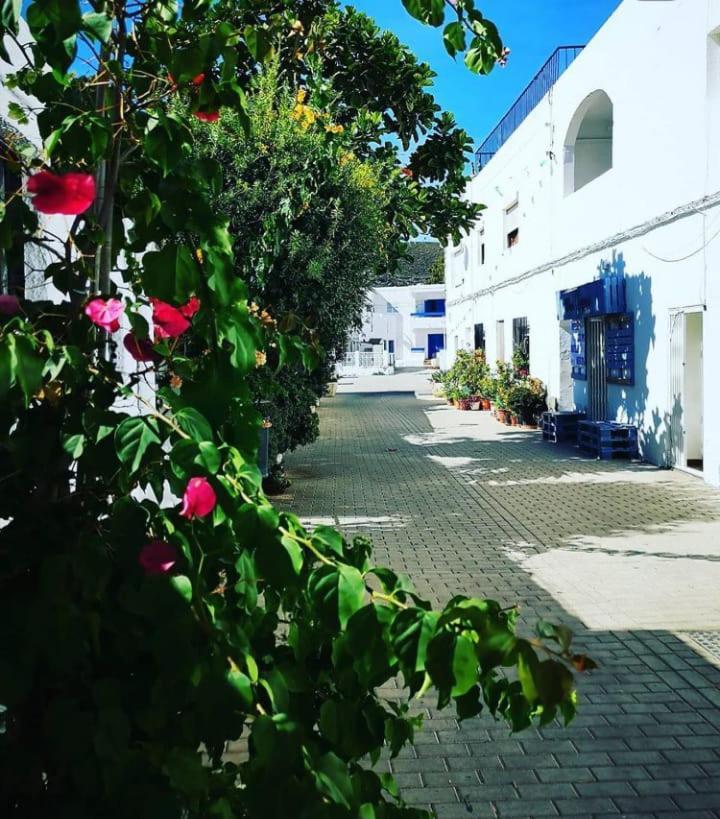 Casa Del Pez Vivienda A Pie De Calle En Agua Amarga A 250 Metros De La Playa * Agua Amarga (Almeria)