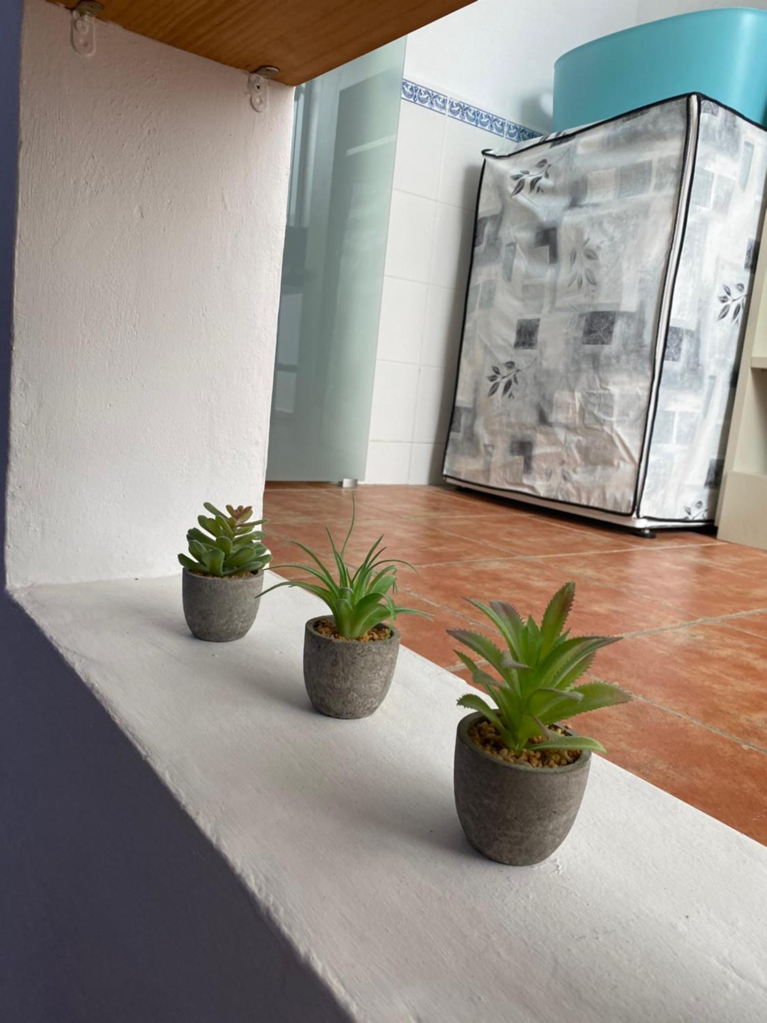 Casa Del Pez Vivienda A Pie De Calle En Agua Amarga A 250 Metros De La Playa Appartement *